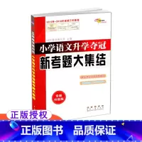 语文 [正版]全国68所小学 小学语文升学夺冠新考题大集结 全国版通用版 68所名校图书 6年级毕业复习用书 小升初