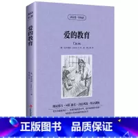 [正版] 双语名著 爱的教育 读名著 学英语 中文版+英文版 中英文对照 双语读物 世界名著英语图书 经典文学小说 意