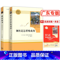 [正版]广东 傅雷家书钢铁是怎样炼成的 原著人民教育出版社 初二八年级下册语文名著初中生课外阅读书籍完整版 配小红本
