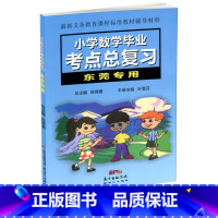 [正版]2024 小学数学毕业考点总复习东莞小升初小学六年级升初中辅导用书小学数学升学参考资料毕业复习资料新世纪出版社