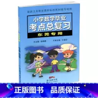 [正版]2024 小学数学毕业考点总复习东莞小升初小学六年级升初中辅导用书小学数学升学参考资料毕业复习资料新世纪出版社