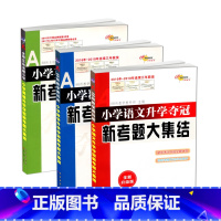 语文数学英语3本 [正版]小学语文数学英语升学夺冠新考题大集结全3册全新升级版全国版68所助学图书名校考核新型考试复习用