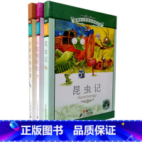 [正版]小学语文阅读丛书 昆虫记 小狐狸阿权 西顿动物故事 彩绘注音版 小学低年级阅读训练