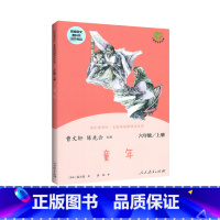 童年 [正版]快乐读书吧 六年级上册 人教版 童年 小英雄雨来 爱的教育 曹文轩陈先云名著阅读课程化丛书小学6年级课外阅
