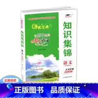 语文 小学升初中 [正版]2024版 培优宝典 知识集锦 语文 小学1-6年级语文知识大全基础知识小升初语文总复习辅导工