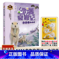 沙漠奇遇记小沙鼠走亲戚 [正版]书目 沙漠奇遇记 小沙鼠走亲戚 杨红樱童话注音本 儿童读物少儿文学 适合小学一二年级学生