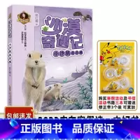 沙漠奇遇记小沙鼠走亲戚 [正版]书目 沙漠奇遇记 小沙鼠走亲戚 杨红樱童话注音本 儿童读物少儿文学 适合小学一二年级学生
