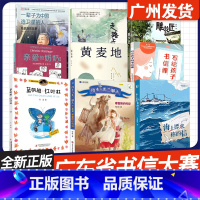 全套11册 [正版]2024广东省中小学书信大赛黄麦地(梅子涵著)雕花匠走路上学海上漂来你的信写给孩子的书信课中小学生三