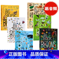 自然科普艺术大书6册 [正版]自然科普艺术大书6册精装 The Big Book of Birds鸟类Blue海洋Bug