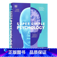 DK儿童心理学百科 [正版]DK儿童数学百科英文原版 Super Simple Maths 数学圆周率三角函数等研究指南