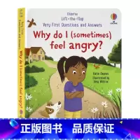 [正版]Usborne问与答系列立体翻翻书为什么我有时候会生气 Why do I sometimes feel ang