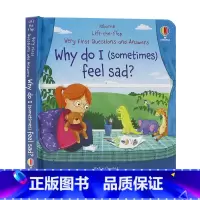 [正版]Usborne问与答系列立体翻翻书为什么我有时候会伤心 Why do I sometimes feel sad