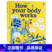 [正版]Usborne出品 你的身体是怎么工作的 英文原版绘本 How Your Body Works 儿童对身体的了