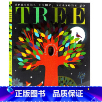 [正版]四季绘本 大自然的秘密系列英文原版绘本Tree Seasons Come Seasons Go 叠层洞洞书
