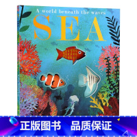 [正版]海洋Sea 英文原版科普绘本 3-6岁儿童英文早教亲子阅读洞洞书 英语自然拼读绘本 大自然的秘密系列 平装挖洞
