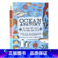 [正版]茱莉亚罗斯曼解剖学系列海洋解剖学 英文原版 Ocean Anatomy 儿童插图科普启蒙读物 探索海底世界的奇