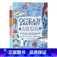 [正版]茱莉亚罗斯曼解剖学系列海洋解剖学 英文原版 Ocean Anatomy 儿童插图科普启蒙读物 探索海底世界的奇