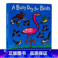 [正版]小鸟忙碌的一天 英文原版绘本 A Busy Day for Birds 鸟类启蒙图画纸板书 早教启蒙认知 小鼠