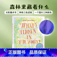 [正版]森林里藏着什么?英文原版绘本 What's Hidden in the Woods? 光影魔术书附三色滤镜环保