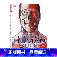 [正版]DK人体图解指南 英文原版 The Concise Human Body Book解剖视觉指南骨骼肌肉系统运作