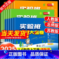 [6件套]提优训练+提优大考卷(语数英)人教版 三年级上 [正版]2025春实验班提优大考卷一二三四五六年级上下册语