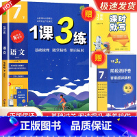 7年级下册 语文 人教版 [正版]实验班 1课3练单元达标测试七年级八九年级上册下册数学科学浙教版语文英语人教版初中生一