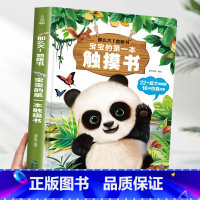 宝宝的第一本触摸书[超大地板书] [正版]宝宝的第一本触摸书 早教触摸书婴儿书感官刺激绘本 那么大地板书 1岁撕不烂立体