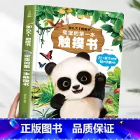 宝宝的第一本触摸书[超大地板书] [正版]宝宝的第一本触摸书 早教触摸书婴儿书感官刺激绘本 那么大地板书 1岁撕不烂立体