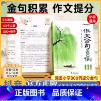 [2册]作文金句800例+万能作文素材 小学通用 [正版]作文金句八百例800例 语文作文素材满分作文金句摘抄语录句子积