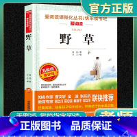 野草 鲁迅作品原著经典无删减 [正版]野草鲁迅作品原著经典无删减版鲁迅一生的哲学都在野草里鲁迅经典散文杂文集青少年学习