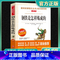 钢铁是怎样炼成的 正版励志小说 [正版]钢铁是怎样炼成的初中原著人教版七年级必读完整版八年级下册必读名著初中生初一初