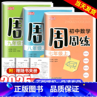 初中数学周周练 九年级/初中三年级 [正版]2025新版乐支点初中数学周周七年级八年级九年级上册下册中学生学科单元设计核