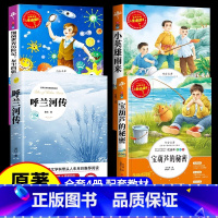 [4册]呼兰河传+宝葫芦+小英雄雨来+细菌世界历险记 [正版]呼兰河传萧红著原著五年级下册初中生青少年版四六年级中小学生