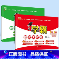 语文+数学[人教版] 二年级下 [正版]新版上市2025春经纶学霸提优大试卷一年级二三四五六年级下册上册语文数学英语人教