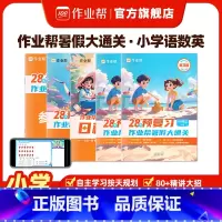 一年级(语数英三科)4册 寒假 小学通用 [正版]抖音同款2024新版小学28天暑假预复习语数英一年级二年级三年级四年级