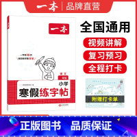 寒假练字帖 小学一年级 [正版]寒假练字帖 小学语文寒假阅读字帖数学口算 一二三四五六年级语文数学寒假作业练习 寒假过渡