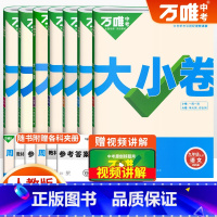 [人教版全套7本]九年级全一册 九年级/初中三年级 [正版]2025版万唯大小卷九年级全一册上册下册数学英语文物理化学政
