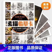 [正版]照片对画组合静物素描临摹卡 2024一线美誉叶