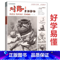 [正版]对路经典素描静物 2021沐尚文化单体组合照片对画临摹范本基础入门美院顶配考级高考联考全集一本通美术绘画画册书