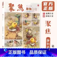 [正版]聚焦静物色调第二季 2024品博文化曹建鼎