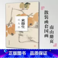 [正版]来楚生花鸟册南山册页丛书 南山书画历代名家册页鉴赏临摹画册 初学者临摹欣赏装饰素材中国画花鸟画技法作品集水墨绘