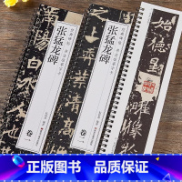 张猛龙碑卷一 卷二[全文2册]临摹字卡 [正版]北魏张猛龙碑卷一·卷二毛笔书法字帖2本全文经典碑帖书法临摹字卡原大版简体