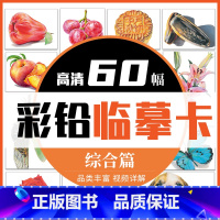 [正版]彩铅临摹卡综合篇60幅 一线美誉步骤对应视频详解美术绘画卡片兴趣高清原创叶