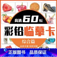 [正版]彩铅临摹卡综合篇60幅 一线美誉步骤对应视频详解美术绘画卡片兴趣高清原创叶