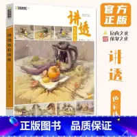 [正版]讲透色彩体系 2024励尚文化陈霖