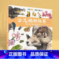 单本全册 [正版]争霸美育少儿精微体系 2023当下少儿