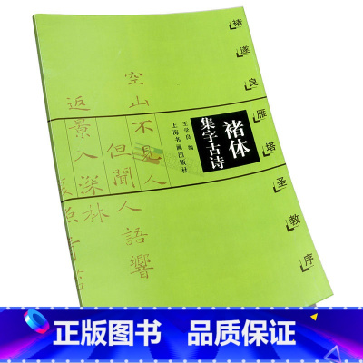 [正版]褚体集字古诗 褚遂良雁塔圣教序 中国古诗集字字帖系列 王学良编 楷书毛笔书法临摹字帖 简体旁注米字格字 上海书
