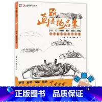 画霸素描启蒙2019 [正版]画霸素描启蒙2019一线教学成辉周江从零起步兴趣学素描静物临摹范本自学基础入门动物步骤讲解
