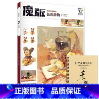 [正版]魔版色彩静物2019魔方文化刘志文单体组合水粉色彩静物临摹范本基础完整色稿色调照片对画范画写生技法校联高考美术