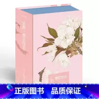 [正版]出类艺术明信片 至爱樱花物语 日本画家樱井绚的樱花插图 创意生日贺卡手绘花卉画集文艺小清新明信片